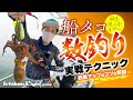 【徹底解説!!】すぐに実践したい船タコの数釣りテクニック｜釣果アップのコツを総まとめ!!