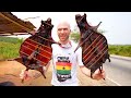 EXTREME STREET FOOD in GHANA!! Giant Roasted Rodent + Drive to Cape Coast | Ghana