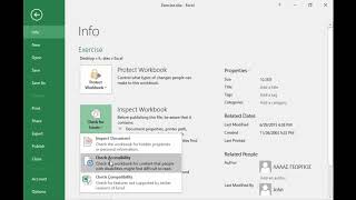How to use the Accessibility Checker in Excel