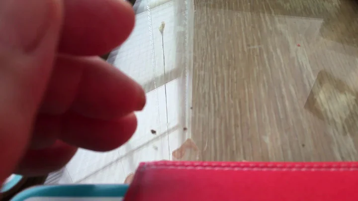 22 February 2018