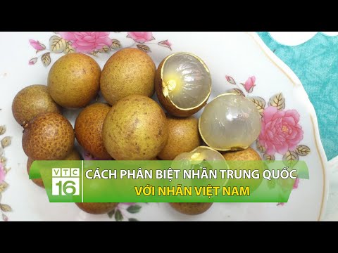 Cách phân biệt nhãn Trung Quốc với nhãn Việt Nam | VTC16