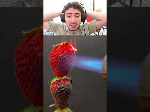 ÇİLEK vs EN GÜÇLÜ ÇAKMAK⁉️🍓🔥