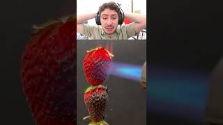 Çi̇lek Vs En Güçlü Çakmak