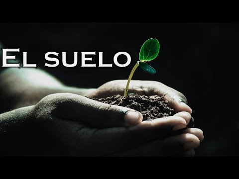 Video: Suelos eternamente congelados: áreas de distribución, temperatura, características de desarrollo