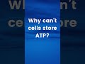ATP Gives Energy but Can’t Be Stored – Here’s Why!