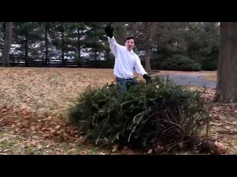 THE CRAZIEST CHRISTMAS TREE CRASH | EPIC VIDEO MOMENTS