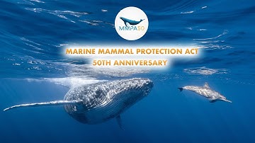 The 50th Anniversary of the Marine Mammal Protection Act
