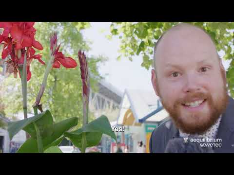 John Queue Public Episode 1: The Origin of the Queue