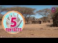 FIVE FACTS ABOUT Kenya FIVE FACTS ABOUT Kenya