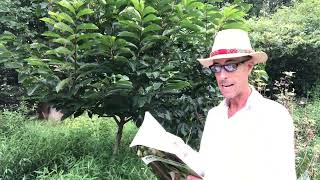 PawPaw Story Time w/ Michael Judd