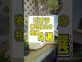 【園芸】ビオラ 寄せ植えの相棒 4選！！#アリッサム#flowers #gardening