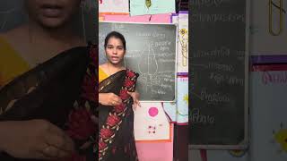 #viral #brain #function #trending #shortfeed #science #exam #studies
