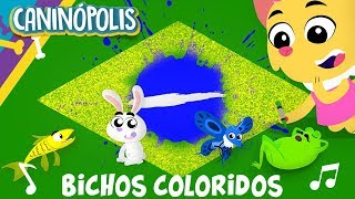 BICHOS COLORIDOS - CANINÓPOLIS | Músicas Infantis