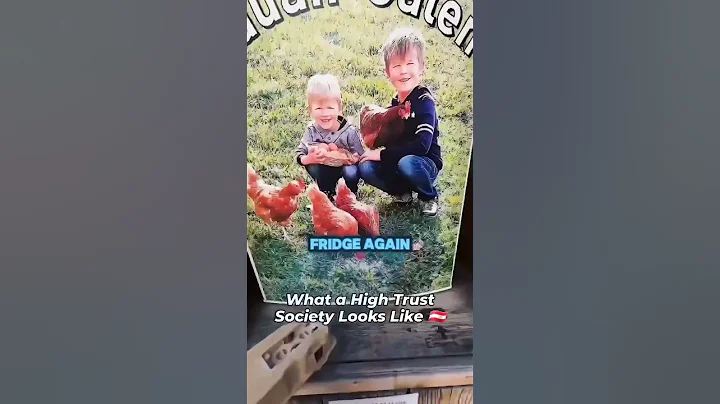 This Is What A High Trust Society Looks Like.. 👀 (Austria 🇦🇹 Edition)