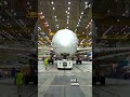 Building A HUGE PLANE In Just 2 DAYS