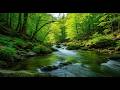 “Best River Sounds for Insomnia – Mountain ASMR Sleep &amp; Relaxation”