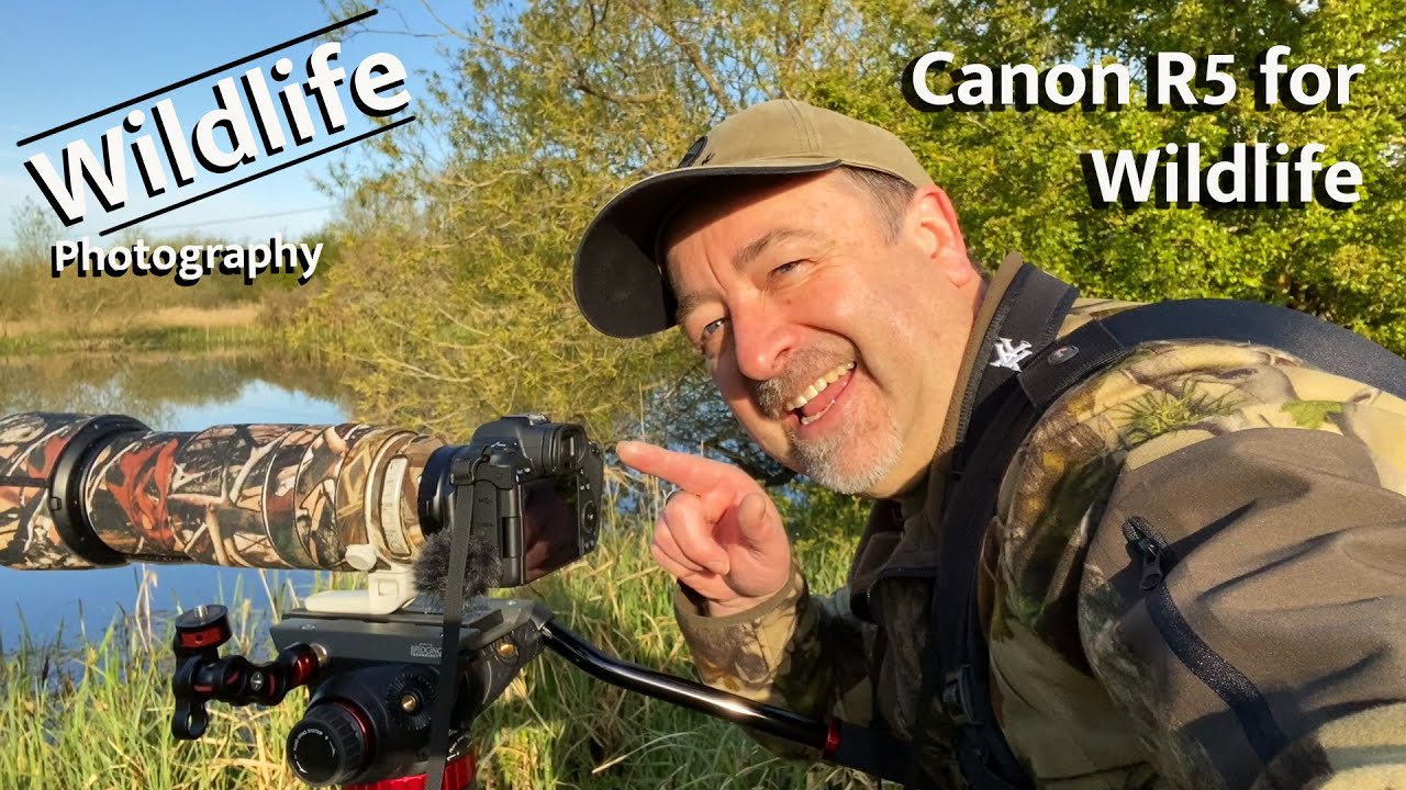 Canon R5 | How Good is it for UK Wildlife and Nature Photography? - YouTube