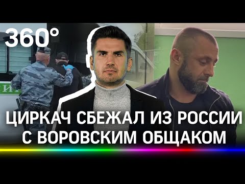 Воров в законе в России больше нет?