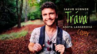 Jakub Hübner - Tráva (Aneta Langerová Cover) (Audio)