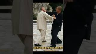 揭秘少林一百零八对拳:融合武术精髓与哲理的经典套路