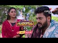 Shree Gandhada Gudi | ಶ್ರೀ ಗಂಧದಗುಡಿ | ಪ್ರತಿ ರಾತ್ರಿ 8:30