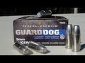 Federal Guard Dog 9mm 105 gr EFMJ AMMO TEST