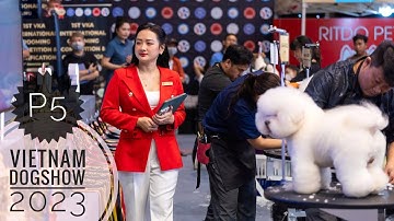 P5: Thi Cắt Tỉa Lông Thú Quốc Tế - 1ST VKA International Grooming/ NhamTuatTV - Dog in Vietnam