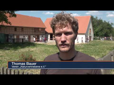 Mühlentag 2018 an