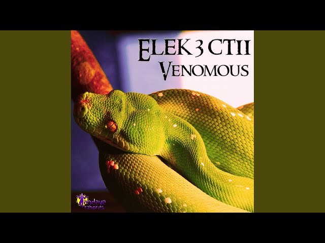 Elek3ctii - Red Eyed Viper