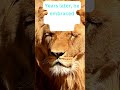 From London to the Wild—but His Heart Stayed 🦁 | Christian’s Reunion #facts #quotes