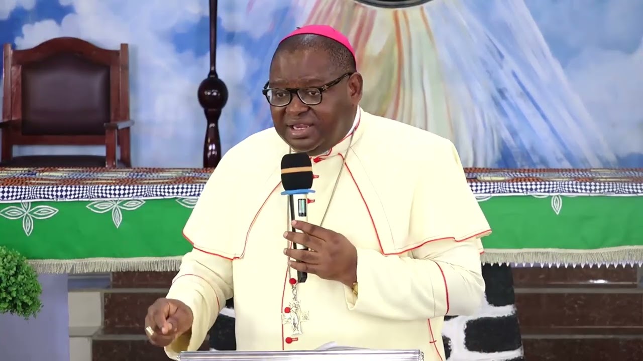 «В Католической Церкви нет ничего, что называлось бы елеем помазания» | Епископ Майкл М. Биби