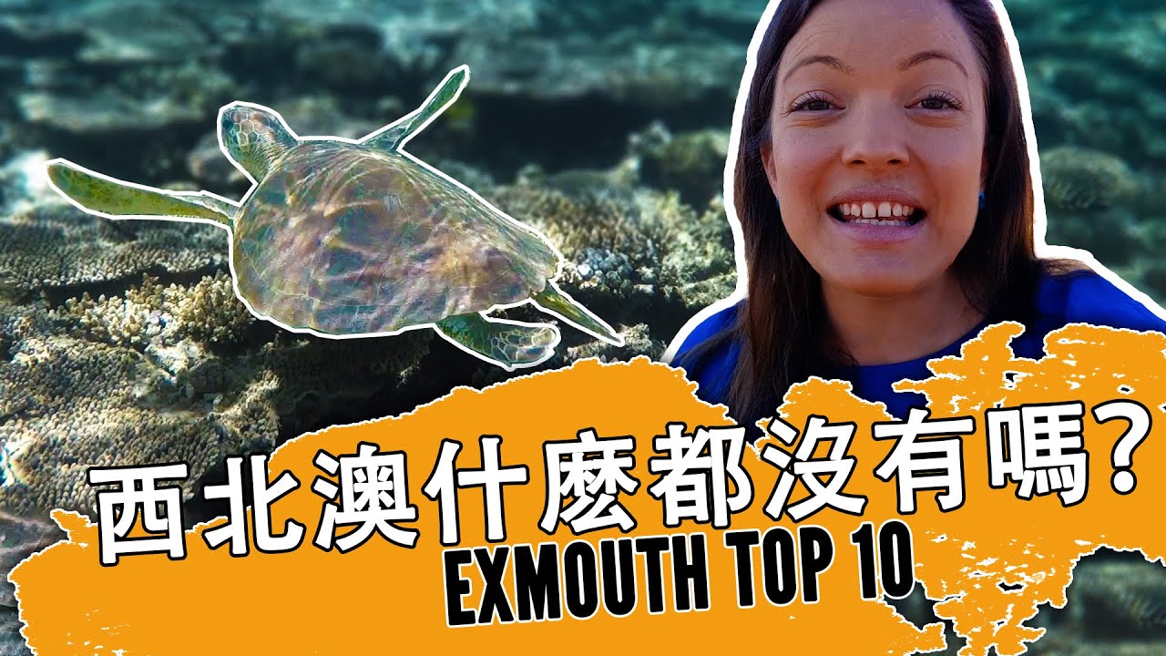 西澳洲好好玩 | 海歸 | 大蝦 | 饒舌 | Exmouth Western Australia