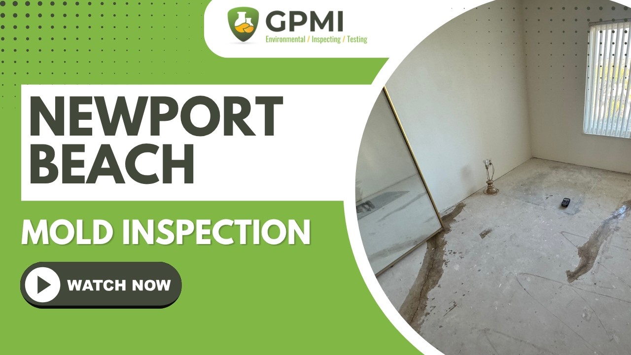 A real Newport Beach mold inspection