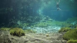 Cenote Diving - Light spectrum in Cenote Xunaan HA