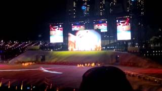 National day parade ndp 2013 performance (sport groups appreciation, playball)