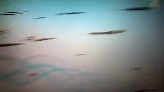 Revizie Tehnica Zu Tv Antena Stars Antena 1