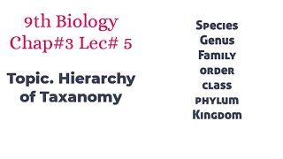 Lecture 5 Class 9th Biology Hierarchy of Taxonomy Chapter 3