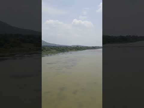 📍Narmada River, Hoshangabad, Madhya Pradesh 😍👌🏻 #narmada #river #madhyapradesh #travel #india #like