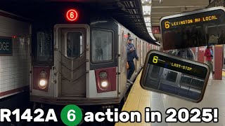 R142A 6 Train Action In 2025