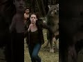 Jake vs. Paul wolf SHOWDOWN 🐺 #twilight #newmoon #kristenstewart #taylorlautner