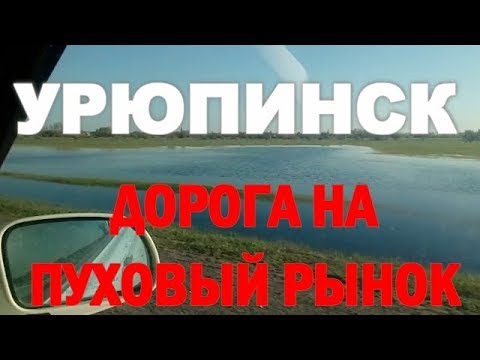 УРЮПИНСК дорога на пуховый рынок