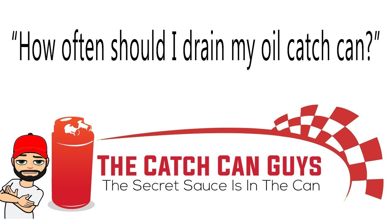 How often should I drain my oil catch can? YouTube