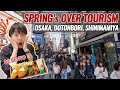 Introducing my hometown osaka spring over tourism season in namba dotonbori local 2 bento ep477