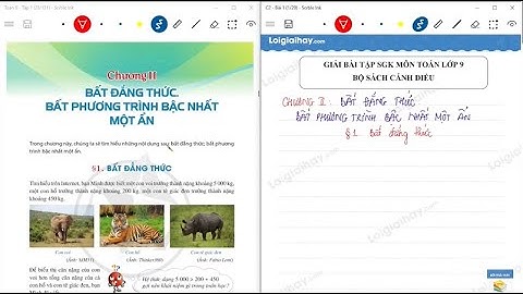 Toán 9 Cánh diều Bài 1. Bất đẳng thức - Cô Ngọc Anh