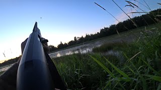 видео: ОТКРЫТИЕ ПО УТКЕ 2020. СТОЛЬКО УТКИ Я ЕЩЕ НЕ ВИДЕЛ. ПАТРОНОВ НЕ ХВАТИЛО! УТКА ЛЕТЕЛА СО ВСЕХ СТОРОН. картинка: ОТКРЫТИЕ ПО УТКЕ 2020. СТОЛЬКО УТКИ Я ЕЩЕ НЕ ВИДЕЛ. ПАТРОНОВ НЕ ХВАТИЛО! УТКА ЛЕТЕЛА СО ВСЕХ СТОРОН.