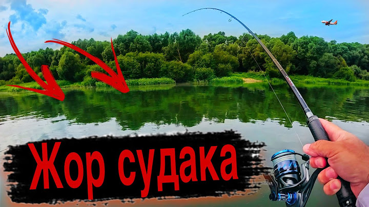 THIS IS A MUST SEE! Wild zander zhor on the OKA Spinning fishing