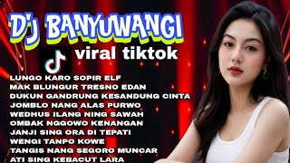 DJ BANYUWANGI VIRAL TIKTOK ♥️🔥 FULL ALBUM LAGU TERBARU 🎧 LUNGO KARO SOPIR ELF