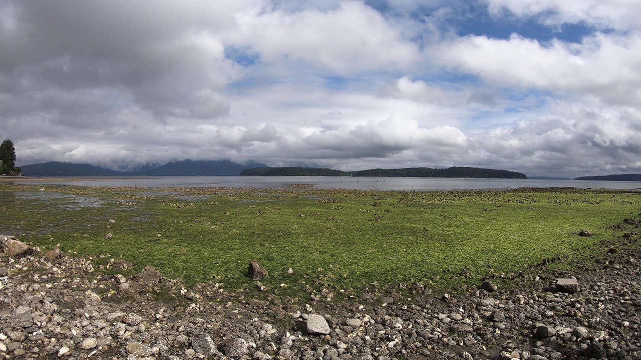 Seabeck Big Beef Creek Time Lapse