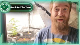 Back in the Tent – Coco Done Right This Time