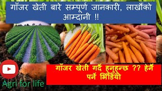 गाँजर खेती गर्दै हुनुहुन्छ??हेर्नै पर्ने भिडियो || GAJAR LAGAUNI TARIKA |Carrot